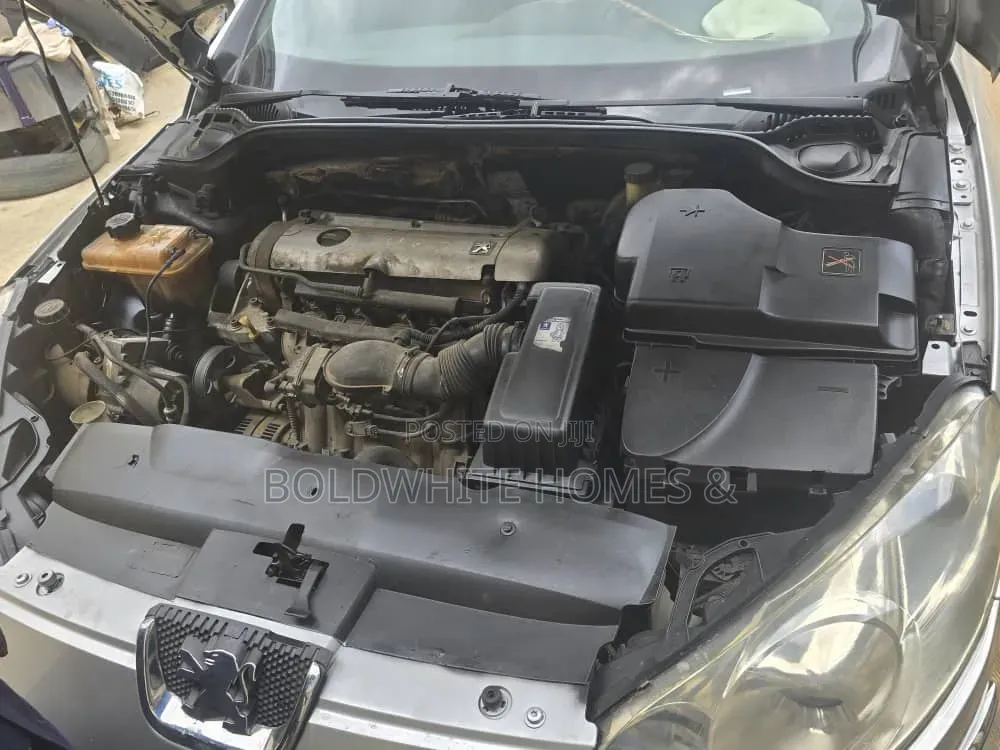 Peugeot 407 2008 Silver