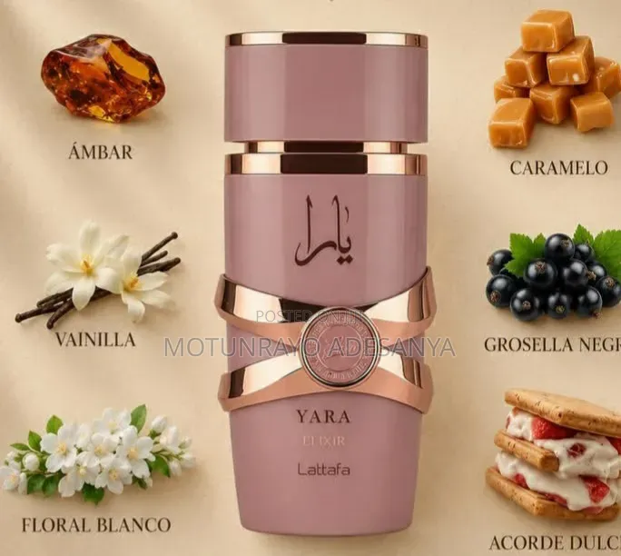 The Scent Space