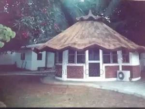 We Design and Construct Thatch House