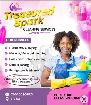 Cleaning Service