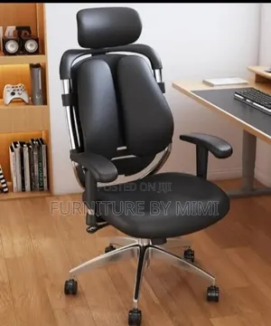 Premium Ergonomic Orthopedic Office Chair–Dual-Pad Backrest & Headrest