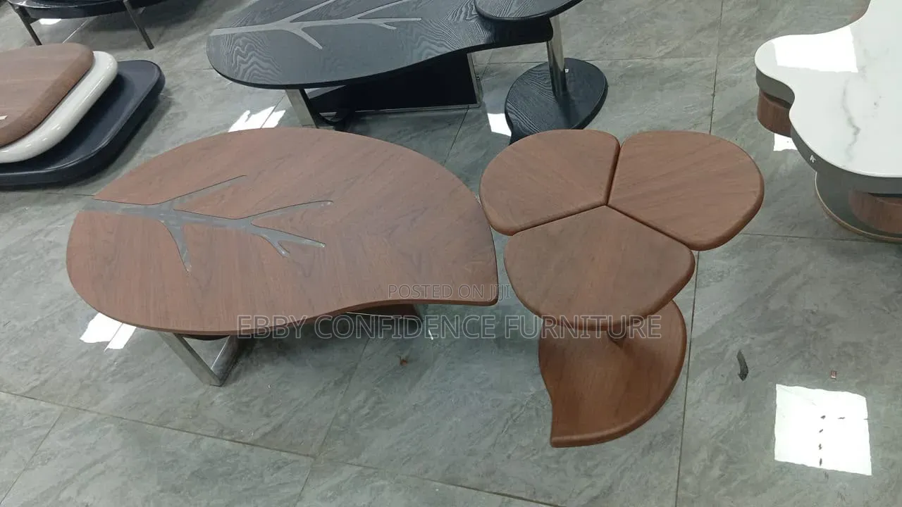 Modern Wooden 2-Piece Center Table Set