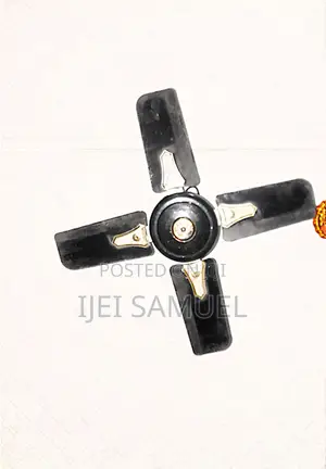 Golden Breeze Ceiling Fan 24"