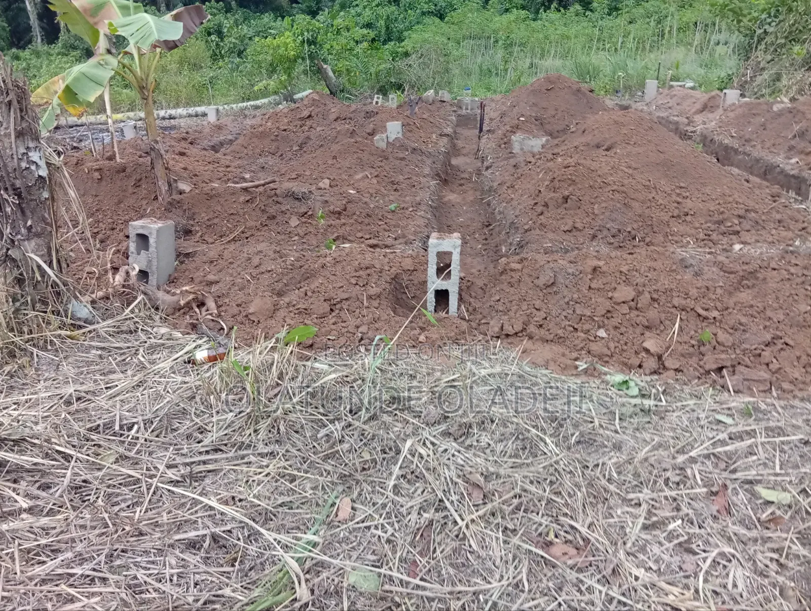 Building Construction