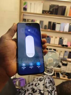 Apple iPhone 15 Pro Max 256 GB Gray