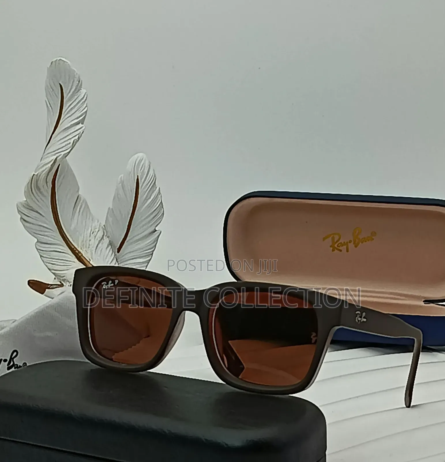 RAYBAN Glasses