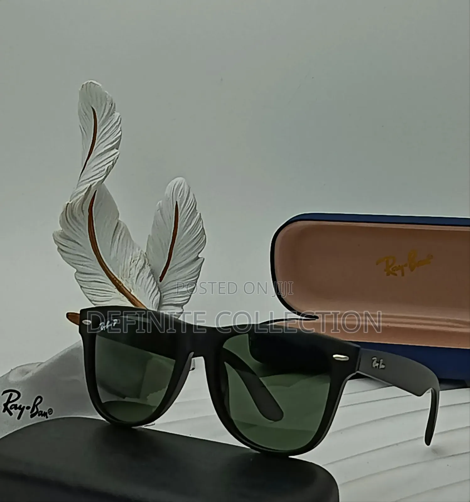 RAYBAN Glasses
