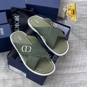 Dior Luxury Packed Slippers