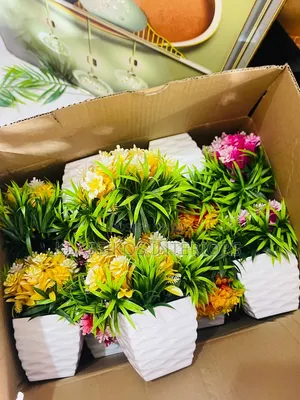 Mini Artificial Flower Pot for TV Stand & Office Tables
