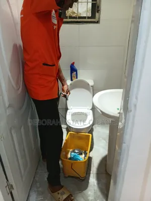Toilet Restoration Deep Cleaning Service