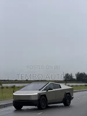 Tesla Cybertruck AWD 2024 Brown