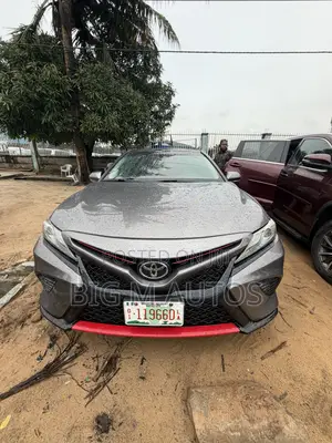 Toyota Camry 2020 Gray