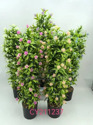 Flower for Interior Finishing