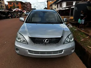 Lexus RX 2009 Silver