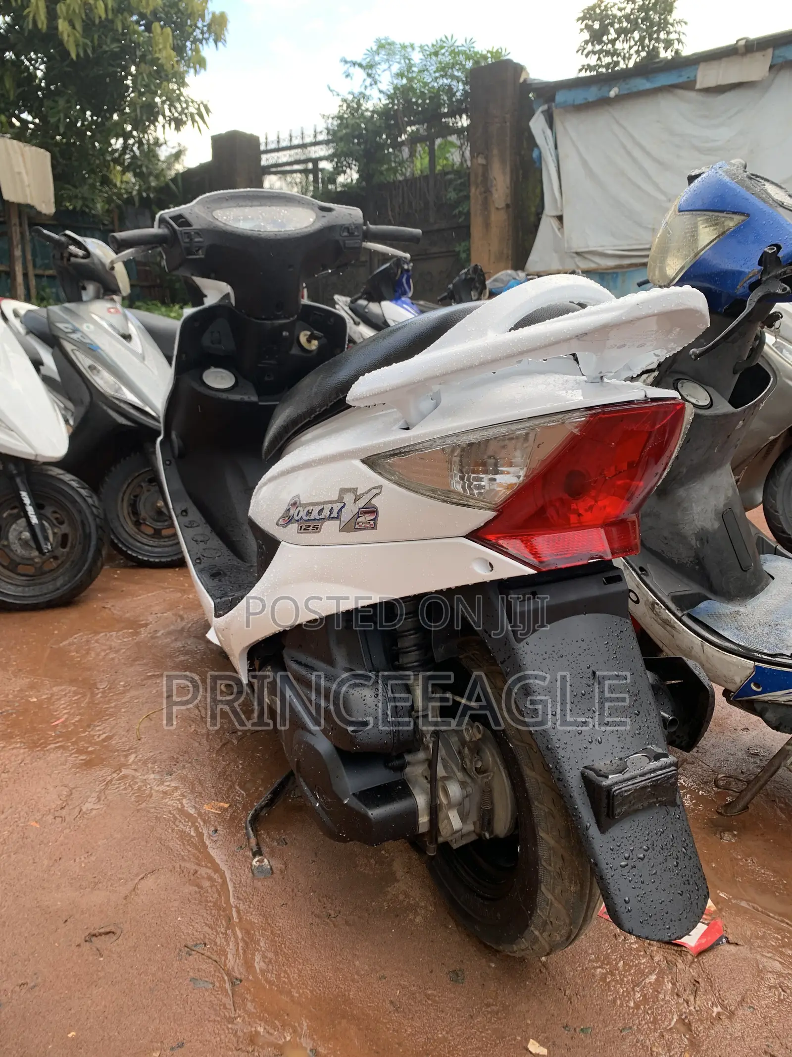 Kymco 2024 White
