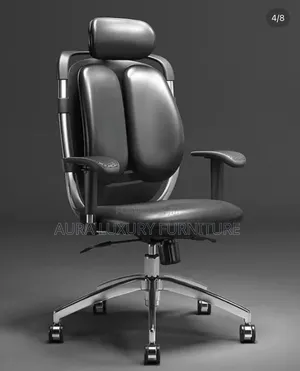 Ergonomic OFFICE CHAIR (Kidney Shape)