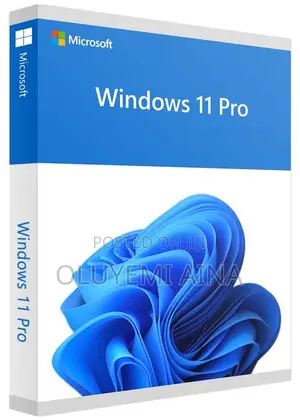 Windows 11 Key 10000 Users