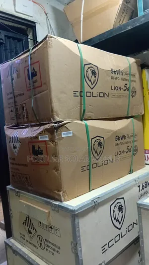 5kwh 24v Ecolion Solar Lithium Ion Battery