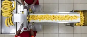 Plantain Cutter/Slicer