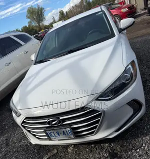 Hyundai Elantra 2017 White