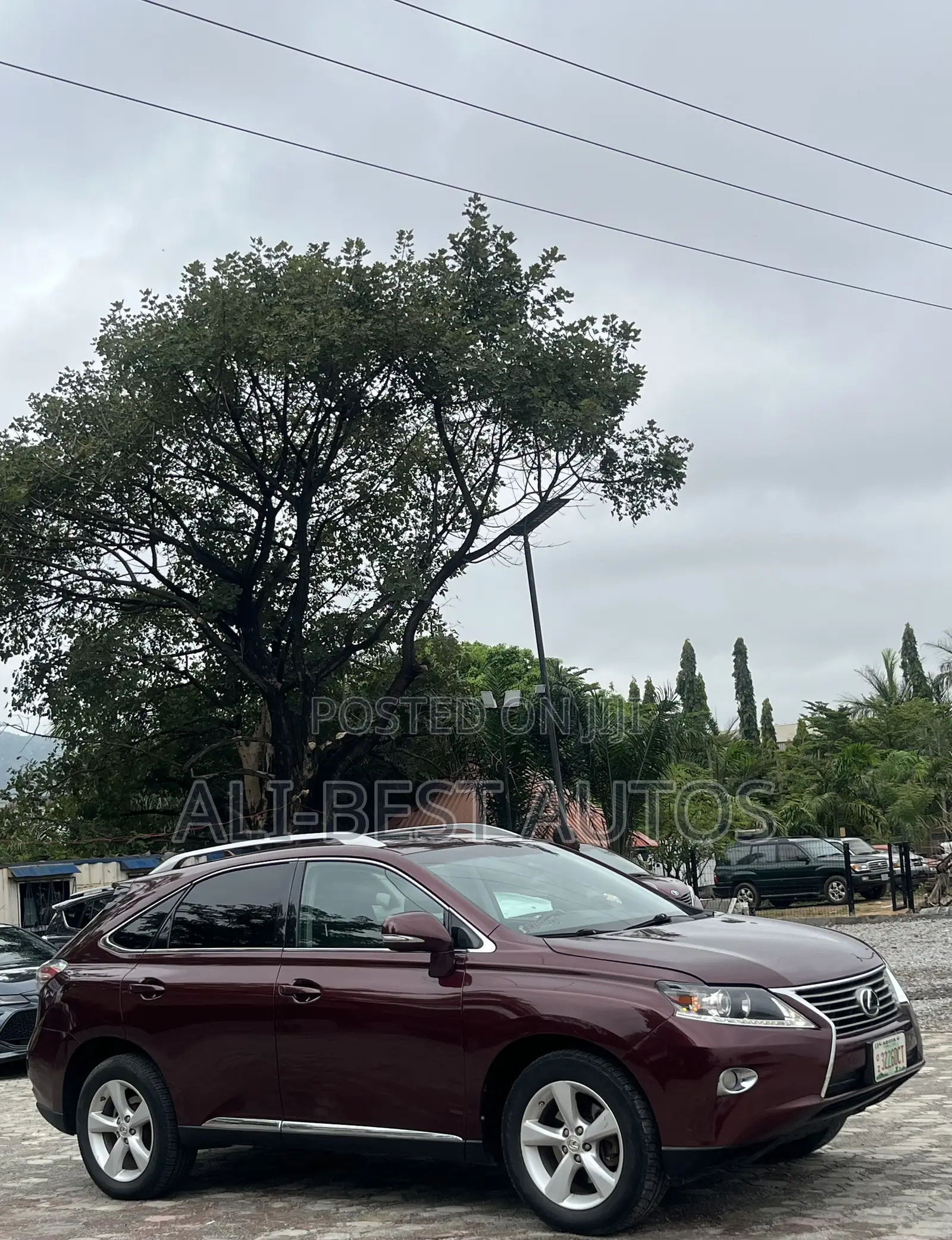 Lexus RX 2013 Maroon