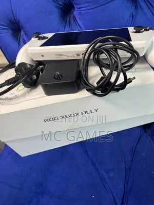Rog Ally X