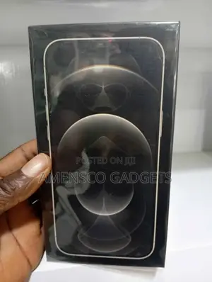 New Apple iPhone 12 Pro Max 256 GB