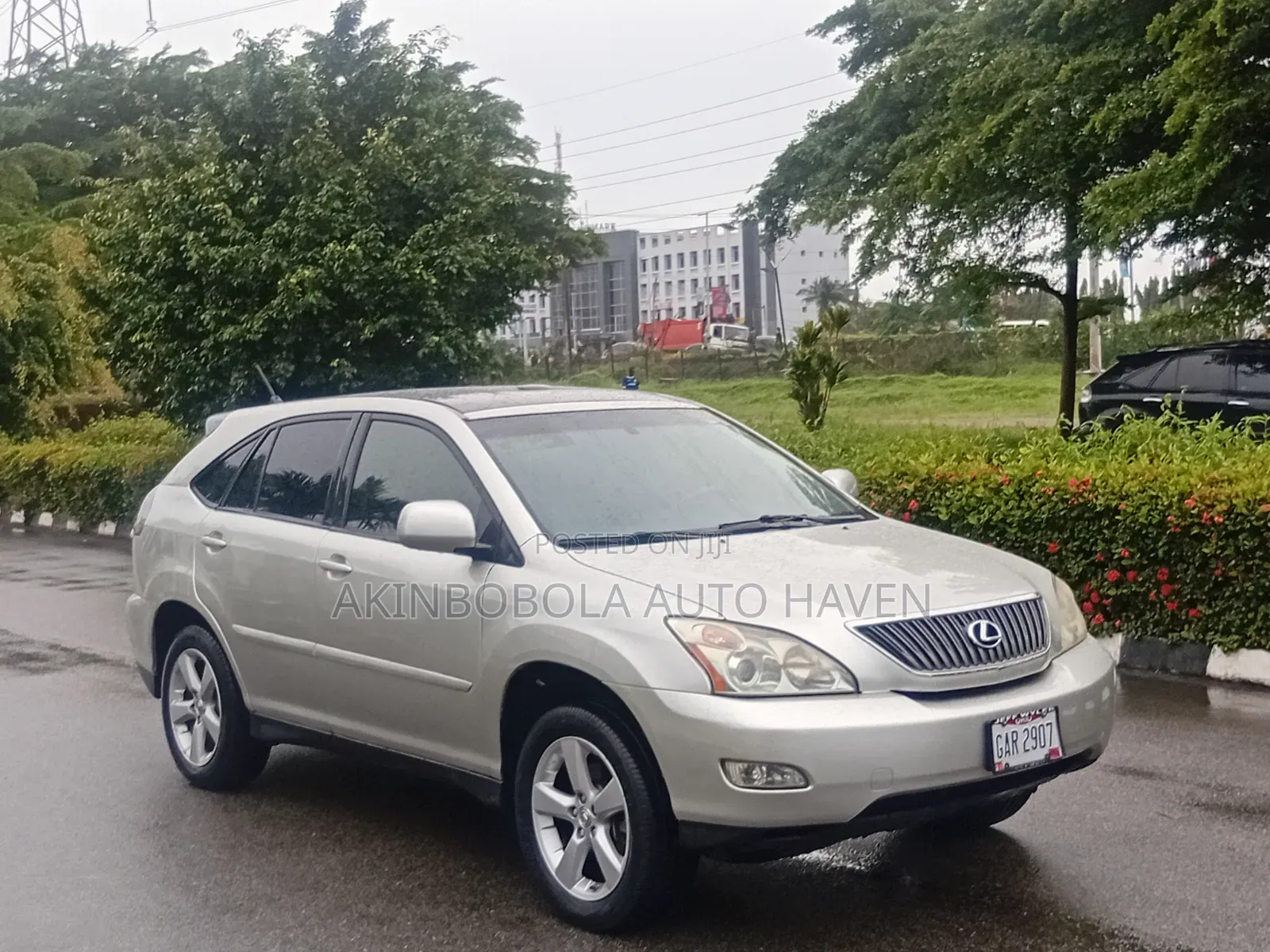 Lexus RX 2004 Gold