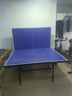 Indoor Table Tennis Board