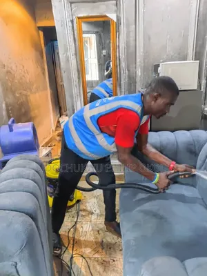 Professional Sofa/Deep Cleaning