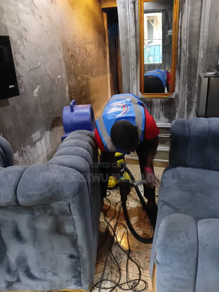 Professional Sofa/Deep Cleaning