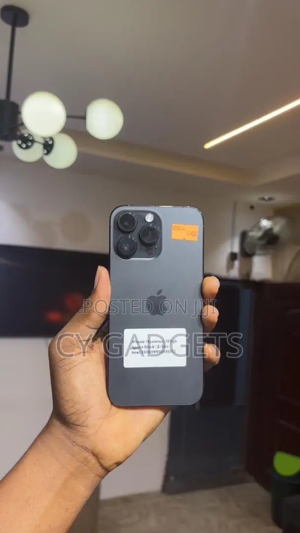 Apple iPhone 12 Pro Max 256 GB Gray