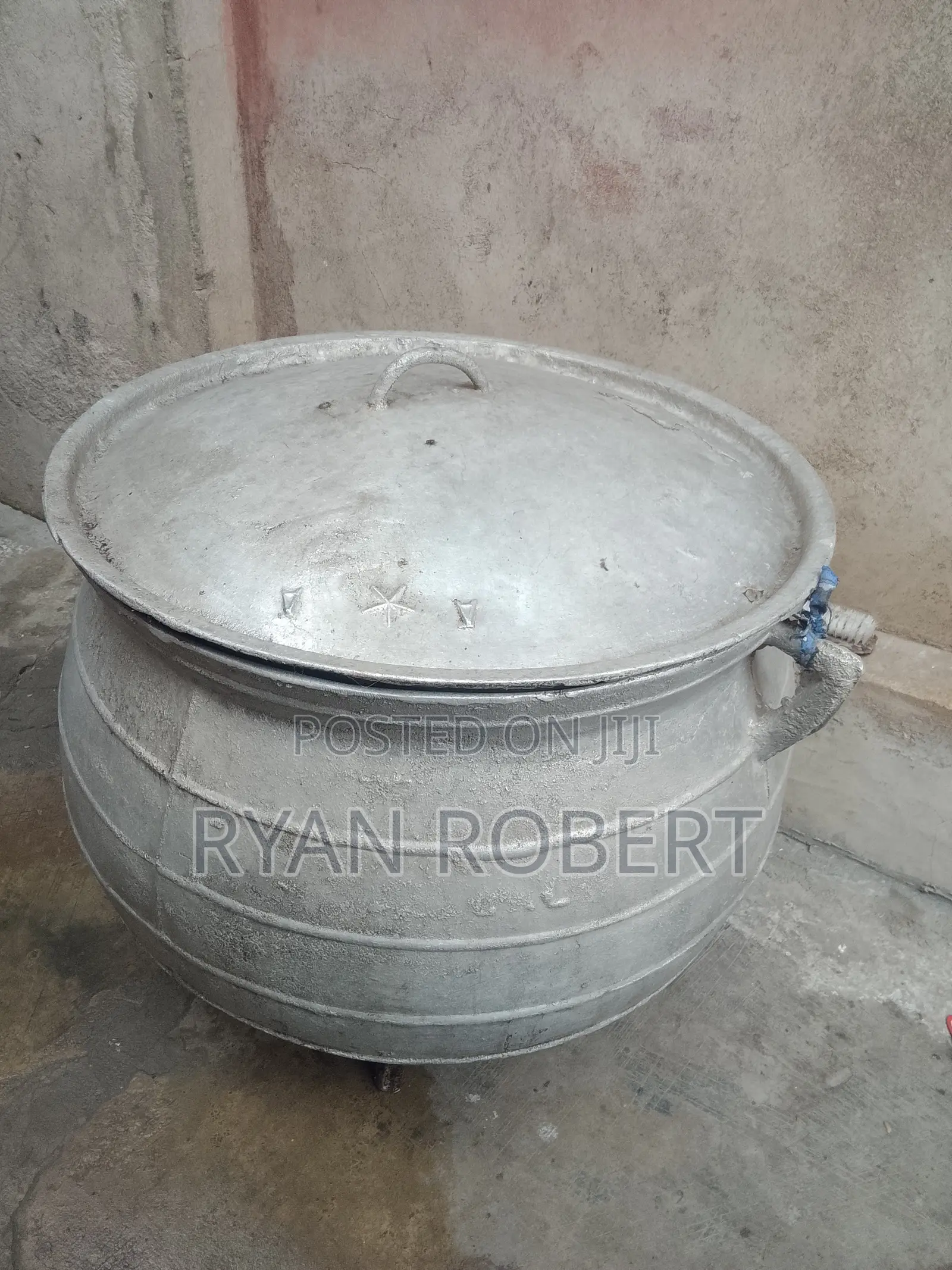 Big Party Jollof Pot
