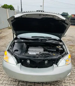 Lexus RX 2005 Gray