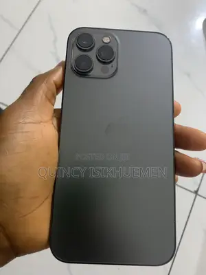 Apple iPhone 12 Pro Max 128 GB Gray