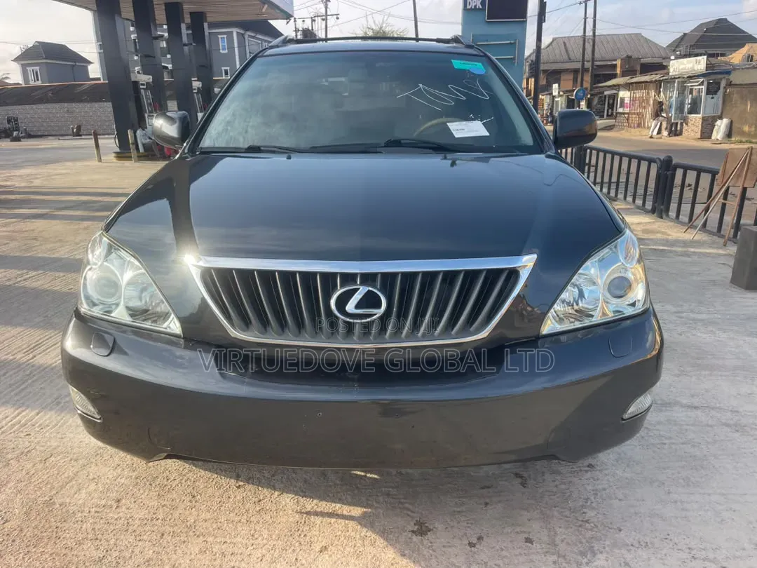 Lexus RX 2009 Blue