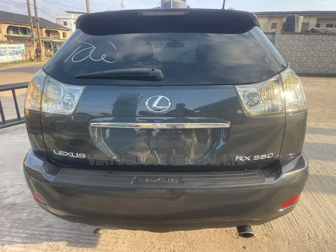 Lexus RX 2009 Blue