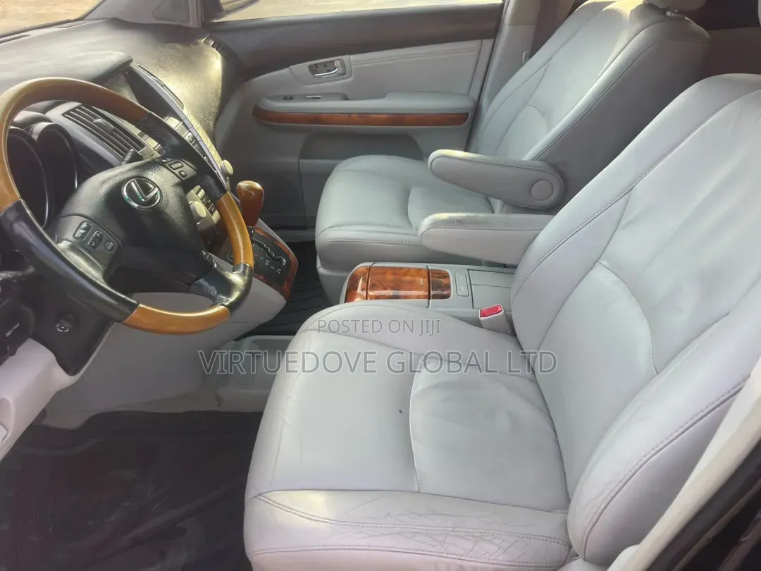 Lexus RX 2009 Blue