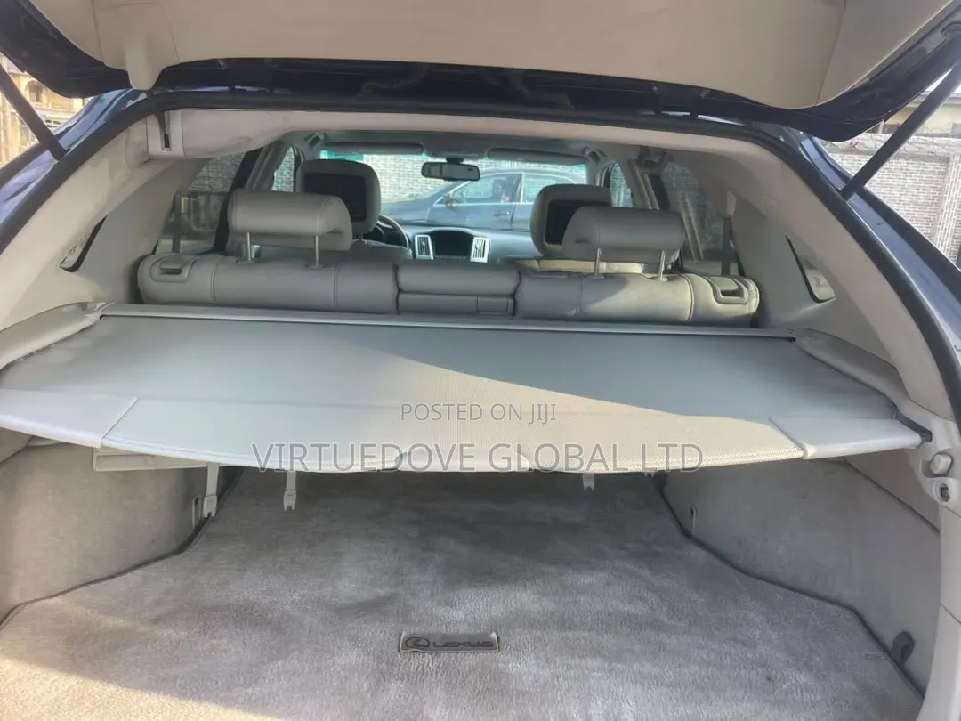 Lexus RX 2009 Blue