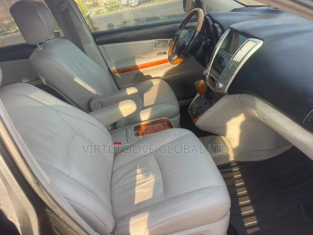 Lexus RX 2009 Blue