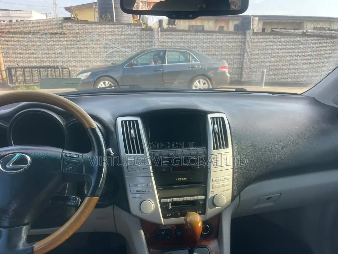 Lexus RX 2009 Blue
