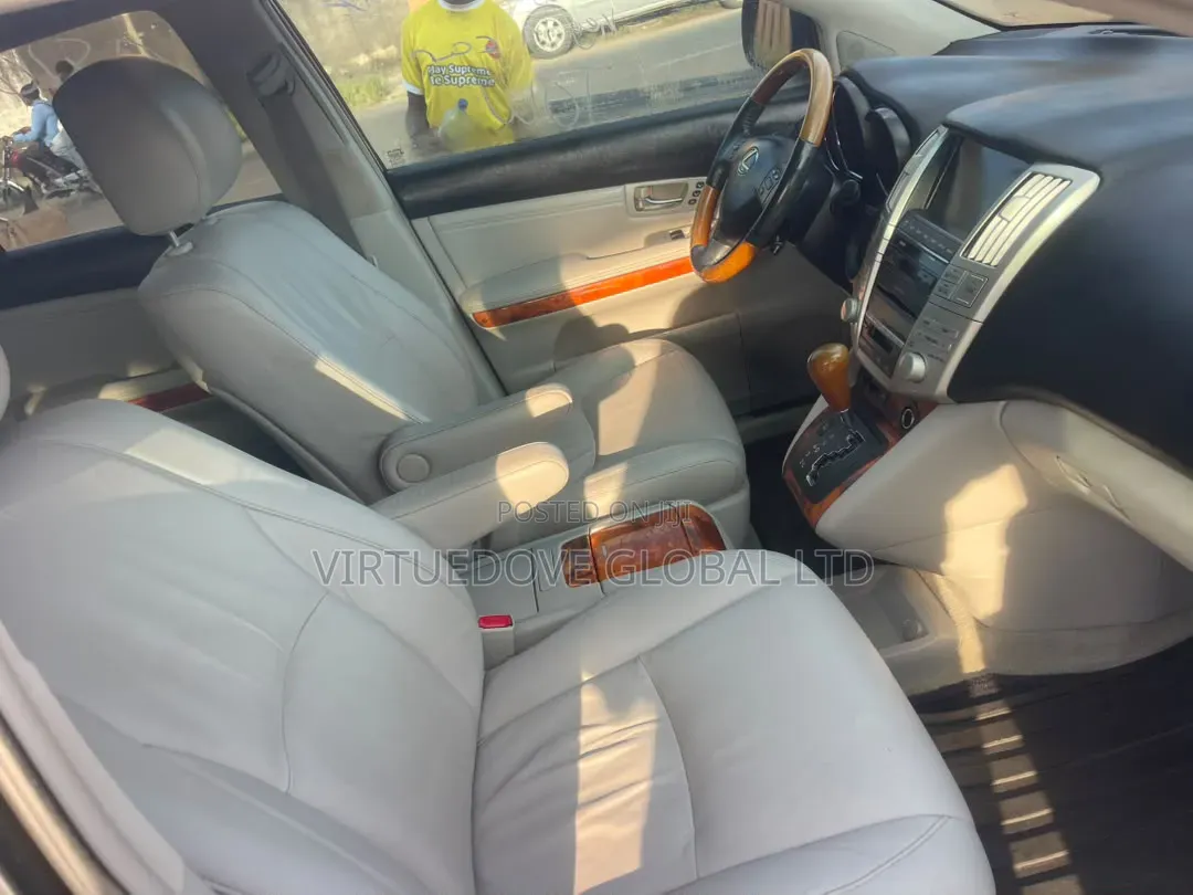 Lexus RX 2009 Blue