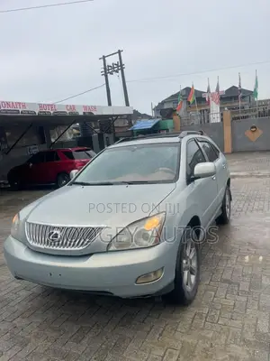 Lexus RX 2009 Gray
