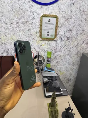 Apple iPhone 13 Pro 256 GB Green