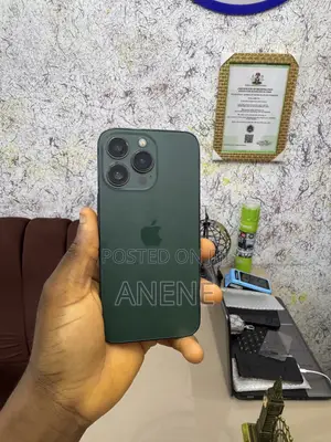 Apple iPhone 13 Pro 256 GB Green
