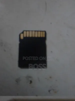 SanDisk SD Adapter