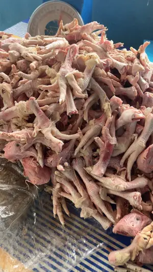 Fresh Chicken Heads and Legs for Dog Food Consumption