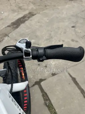 Yadea Fat Bike