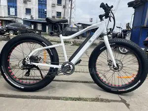 Yadea Fat Bike
