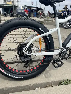 Yadea Fat Bike